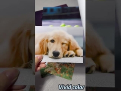 Epson / Canon / HP Geniş Format Yazıcılar için Premium Parlak Fotoğraf Kağıdı Rulosu