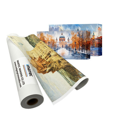 Büyük formatlı baskı 280gm Mat Polyester Duvar Sanatı Tuval baskı