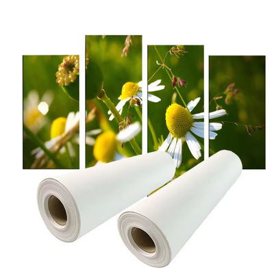 Pigment Baskı 280gm Polyester Canvas Roll