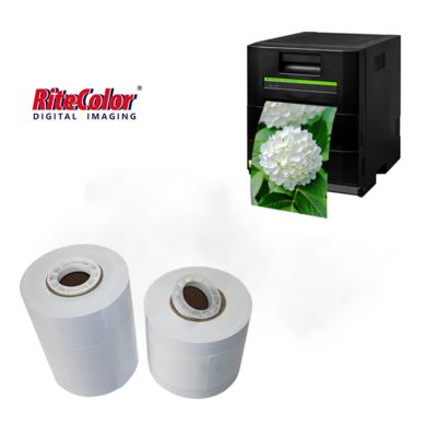 Toptan Satış Drylab Reçine Kaplı Mürekkep Püskürtmeli Parlak Fotoğraf Kağıdı Rulosu 260gsm