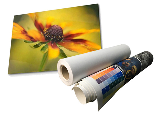 Lateks Mat Suya Dayanıklı Polyester Kanvas Rulo Eko Solvent 280gsm